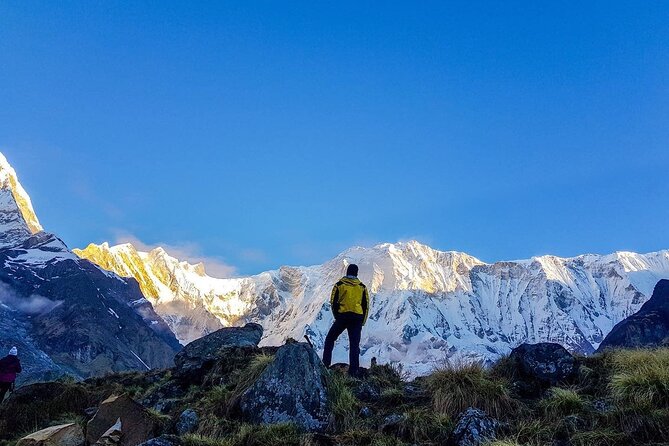 8 Days Annapurna Base Camp Budget Trek from Kathmandu - Day 3: Chhomrong through Sinuwa, Bamboo, and Dovan