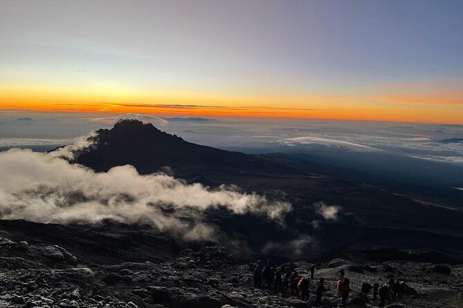 8 Days Kilimanjaro Hike via Lemosho Route - Day 3: Shira Plateau and a useful acclimatization walk