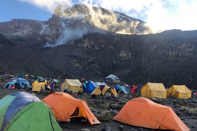 8 Days Kilimanjaro Hike via Lemosho Route - Day 7: Stella Point, Uhuru Peak, and a very long descent