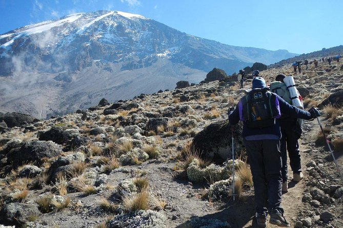 8 Days Lemosho Route Kilimanjaro Trekking - Why Lemosho is Kilimanjaro’s most rewarding route