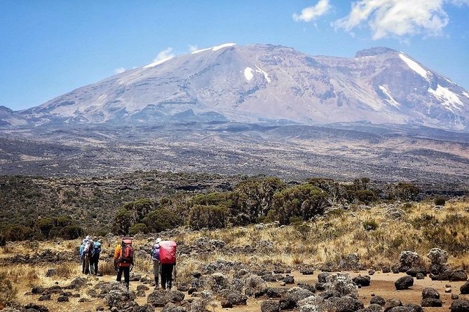 8 Days Lemosho Route Kilimanjaro Trekking - Day 1: Arusha to the rainforest