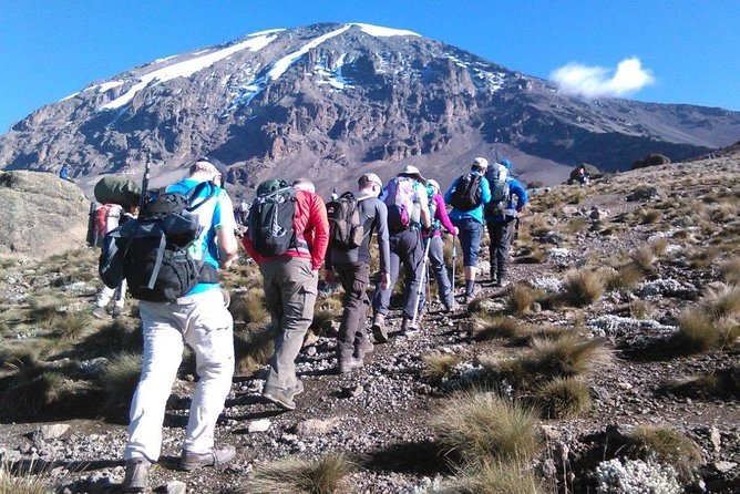 8 Days Lemosho Route Kilimanjaro Trekking - Day 2: From forest to Shira Ridge