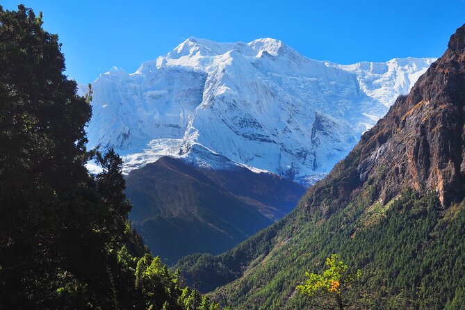 8 Days Private Guided Trekking in Annapurna Circuit with Pickup - Day three: Ngawal and the Manang valley