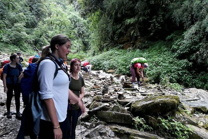 9 Days short and Easy Ghorepani Poonhill Trekking in Nepal - Day 5: Poon Hill sunrise and the forest trail to Tadapani
