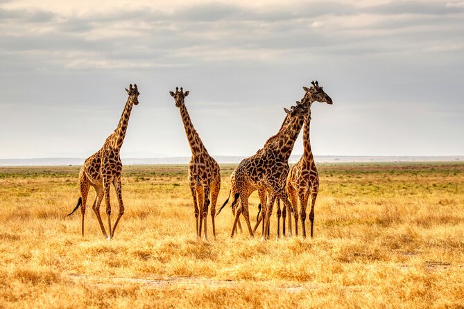 9 Days Uganda Wildlife Safaris, Gorilla Trekking & Hiking - Day 7: A route detail you should confirm before booking