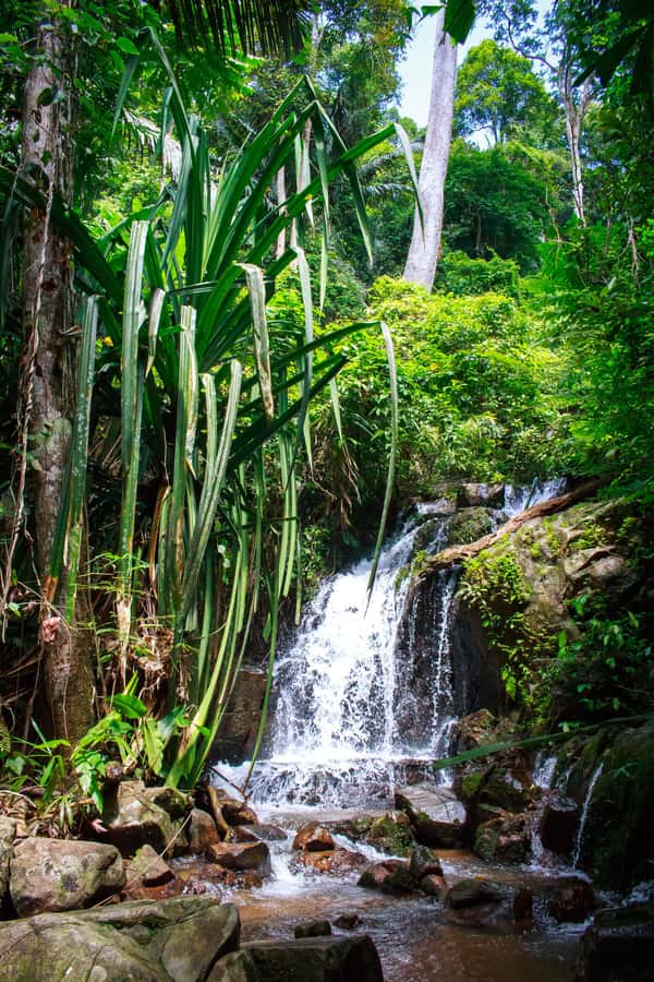 A Jungle-to-Sea Kayaking & Trekking Adventure in Phuket - Key points at a glance