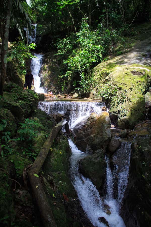 A Jungle-to-Sea Kayaking & Trekking Adventure in Phuket - A rainforest walk to Ton Sai Waterfall