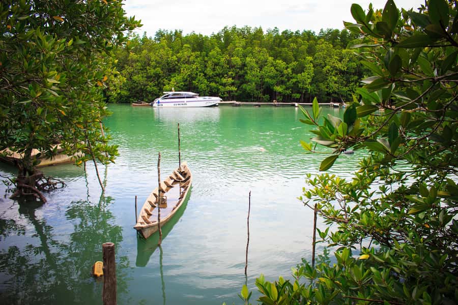 A Jungle-to-Sea Kayaking & Trekking Adventure in Phuket - What the $86 price covers