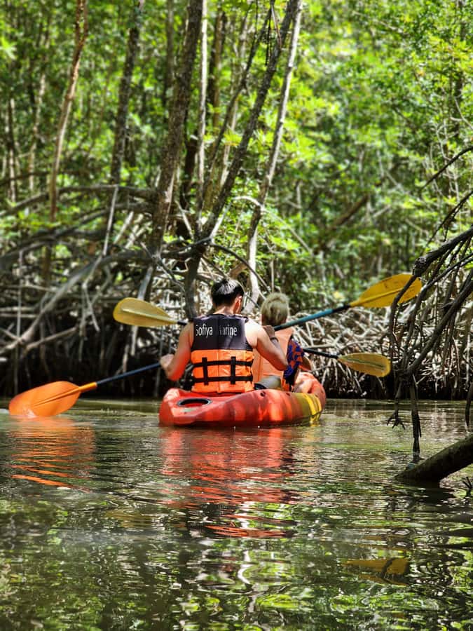 A Jungle-to-Sea Kayaking & Trekking Adventure in Phuket - Paddling the Bang Rong mangroves