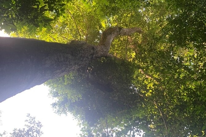 Abandoned Valley , Golden Cave and E Cave 1 Day Trek - Who should book this trek
