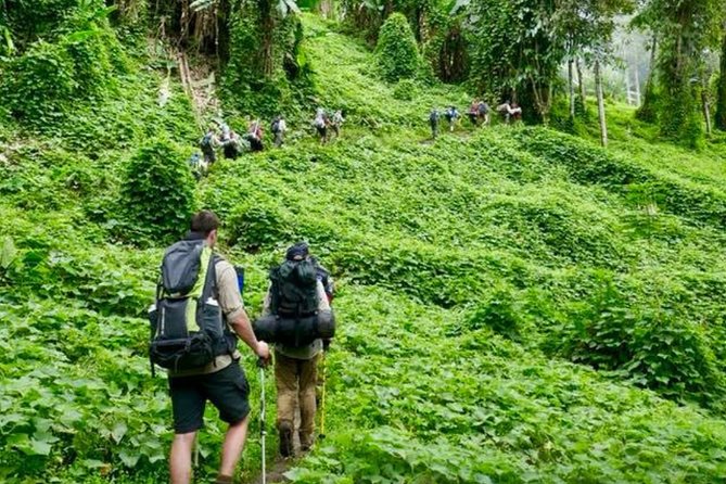 ADVENTURE KOKODA 10-Day Premium Kokoda Campaign Trek Australian Led - Days 7 and 8: the Moss Forest and Lake Myola