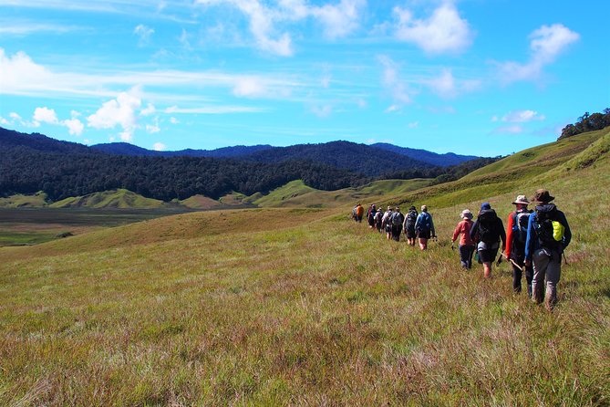 ADVENTURE KOKODA 10-Day Premium Kokoda Campaign Trek Australian Led - Days 3 and 4: Imita Ridge and the Maguli Range