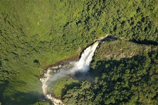 Aerial Hammocks, Zip and Waterfall Trek on Medellin Private Tour - From Medellín to Salto de Buey Natural Reserve