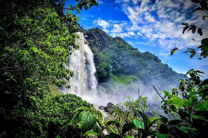 Aerial Hammocks, Zip and Waterfall Trek on Medellin Private Tour - What the $249.99 price gets you