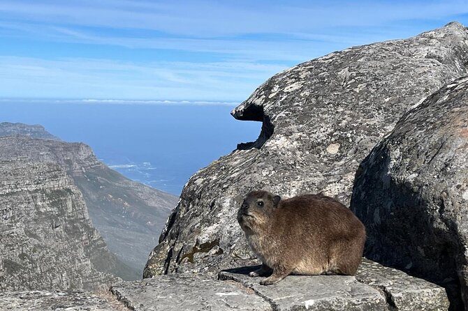 African Wonder of Nature Table Mountain Hike. - What the $80 price really includes