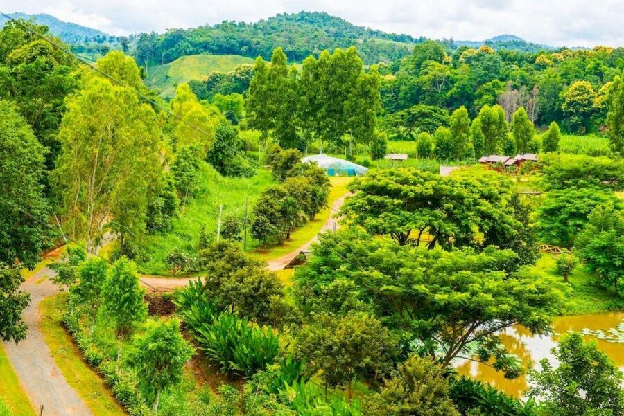 Akha & Lahu village trekking 1 day - Key points to know before you book