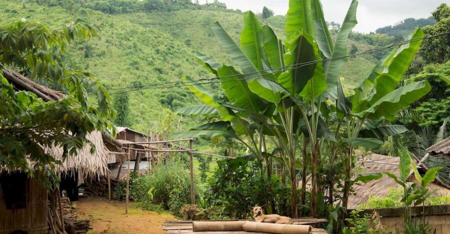 Akha & Lahu village trekking 1 day - A one-day route built around real village life
