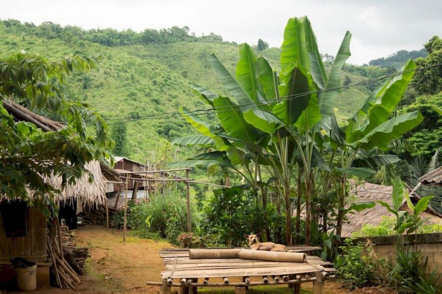 Akha & Lahu village trekking 1 day - Visiting the neighboring Lahu village