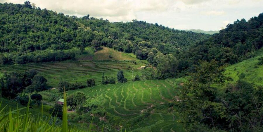 Akha & Lahu village trekking 1 day - Who will enjoy this day most