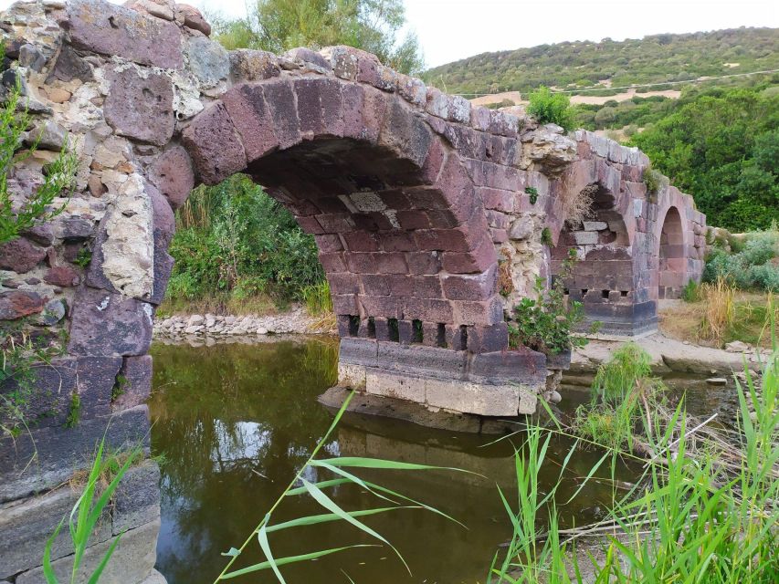 Alghero: trekking in the Porto Conte park - Should you book the Punta Giglio trek?