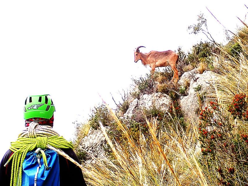 Alicante: Via Ferrata del Ponoig Guided Trek and Climb - Is the $65 price good value?