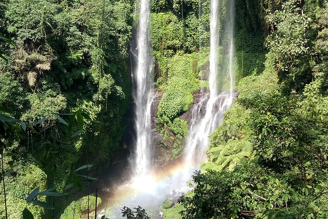 All Inclusive Sekumpul Waterfall Trekking , Handara Gate & Temple - Your driver and the private-tour setup