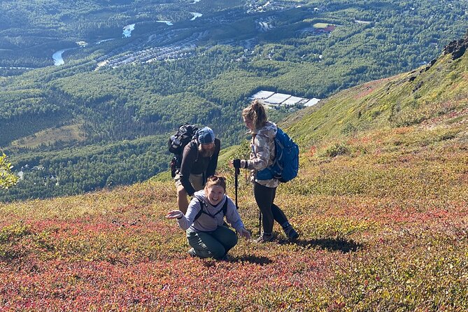 Alpine Classic Trek - Key points to know before you go