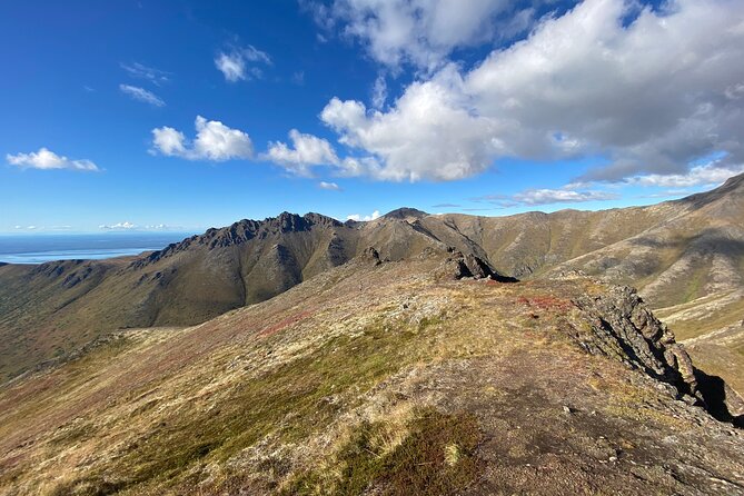 Alpine Classic Trek - Wildlife and alpine plants