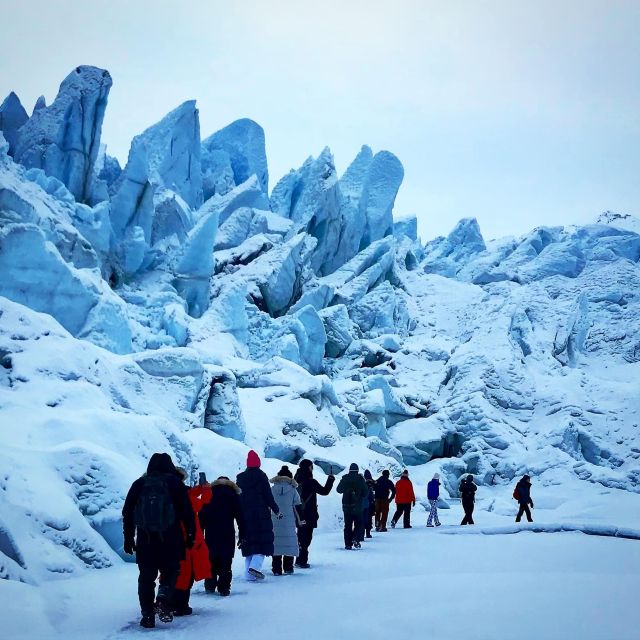 Anchorage: Full-Day Matanuska Glacier Hike and Tour - Meeting the gray van with a bear
