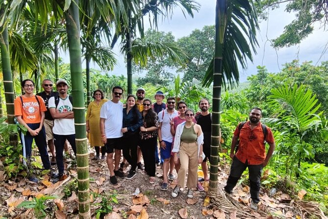Ancient Lava Stream Trek through dense Tropical forest. - Why this trek feels different from a standard forest walk