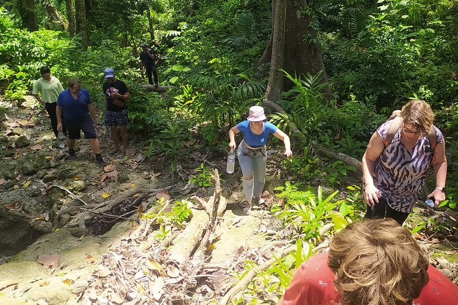 Ancient Lava Stream Trek through dense Tropical forest. - Reaching the freshwater stream