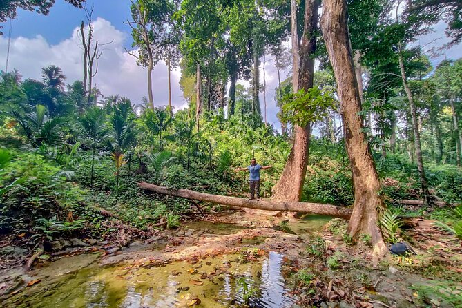 Ancient Lava Stream Trek through dense Tropical forest. - From coastal forest to the areca nut plantation