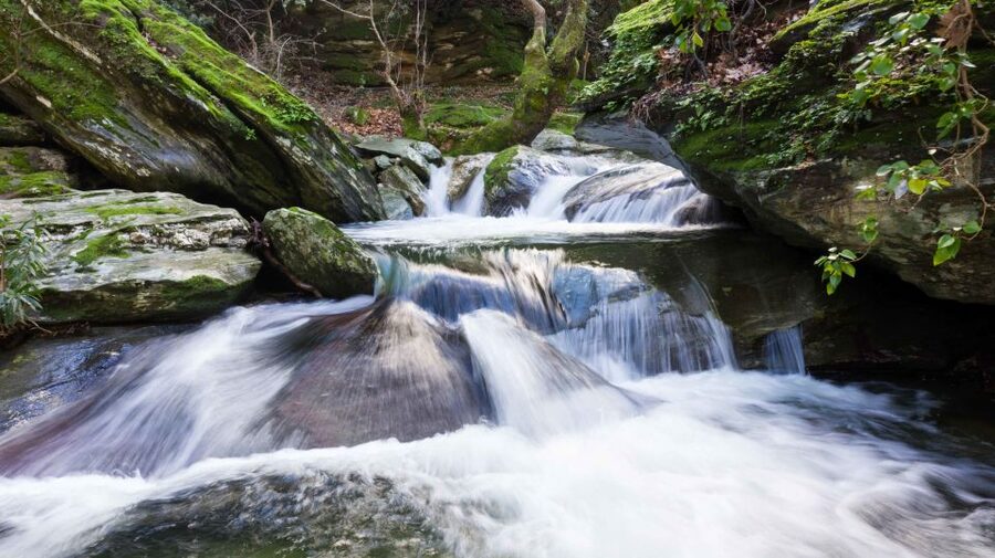 Andros: Achla River Trekking to the Waterfall - The easier route back to the meeting point