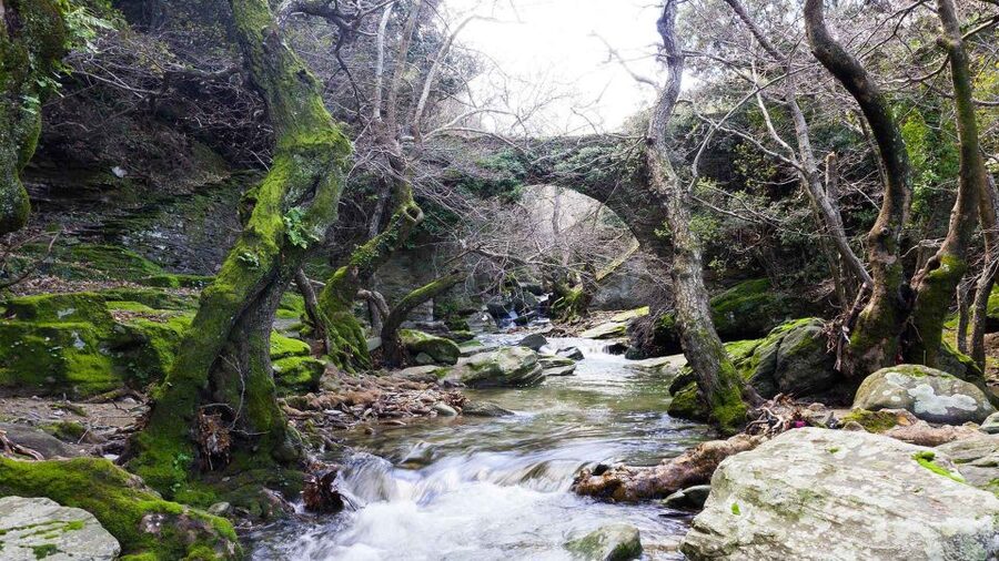 Andros: Achla River Trekking to the Waterfall - What to pack for a comfortable four hours