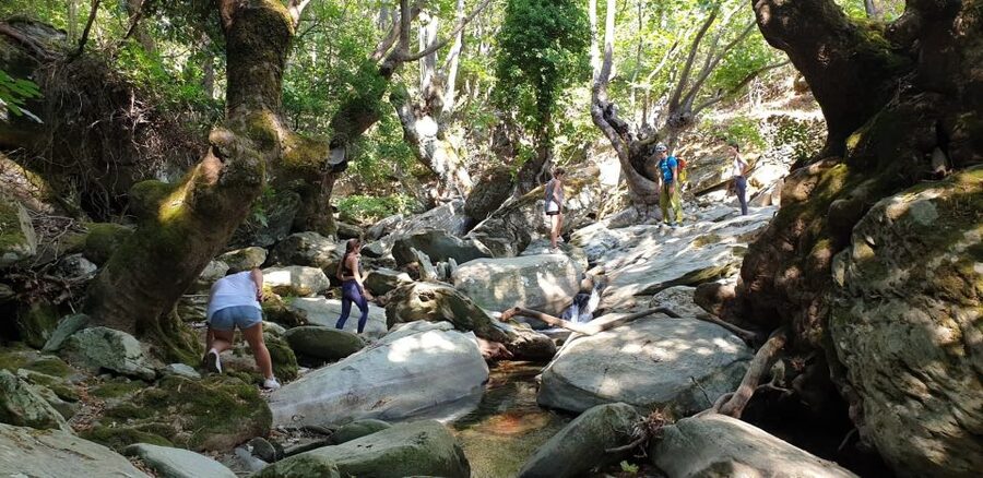 Andros: Achla River Trekking to the Waterfall - The short hike to the Achla River