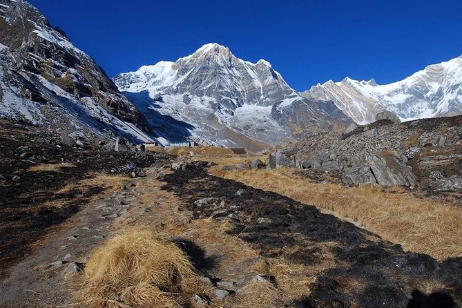 Annapurna Base Camp, Nepal 10 days - Day 7: The long descent to Bamboo