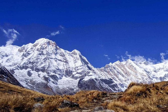 Annapurna Base Camp Trek- 11 Days - Day 7: The long descent from base camp to Bamboo