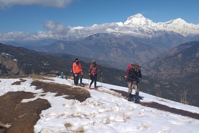 Annapurna Base Camp Trek 12 Days - Tadapani, Chhomrong, and the steady climb toward Sinuwa