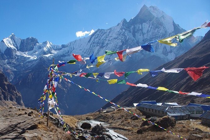 Annapurna Base Camp Trek -13 Days - Nayapul to Ulleri, your first taste of the stairs