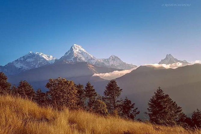 Annapurna Base Camp Trek and Chitwan Excursion - Days four and five build your legs on the Annapurna trail