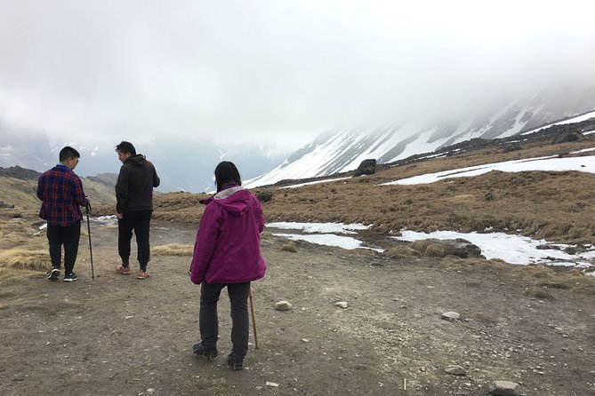 Annapurna Base Camp Trek form Kathmandu - Day 4: Poon Hill sunrise, then Tadapani