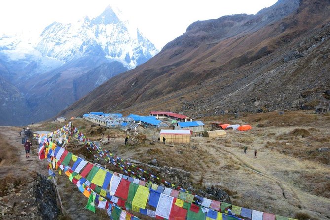 Annapurna Base Camp Trekking - 14 Days - Days 10 and 11: The long descent to Bamboo and Jhinu Danda