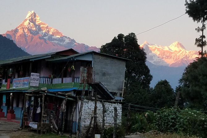 Annapurna Base Camp Trekking - 14 Days - Days 12 to 14: Returning to Pokhara and Kathmandu