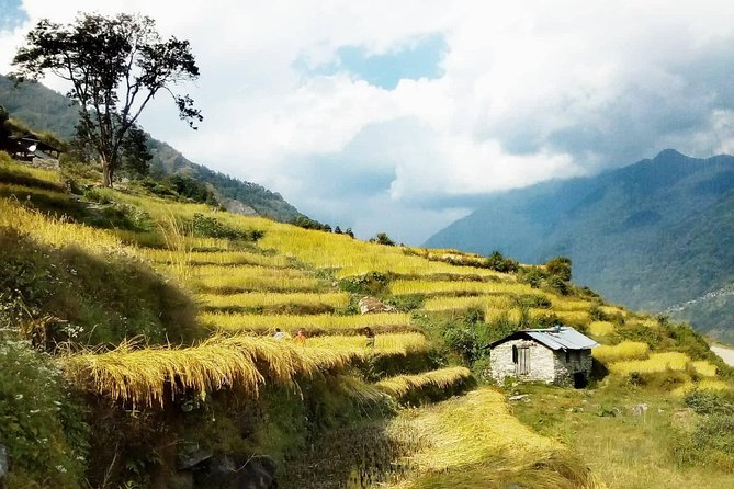 Annapurna Circuit Trekking -17 Days - Days 9 and 10: Yak Kharka and Phedi above 4,000 meters