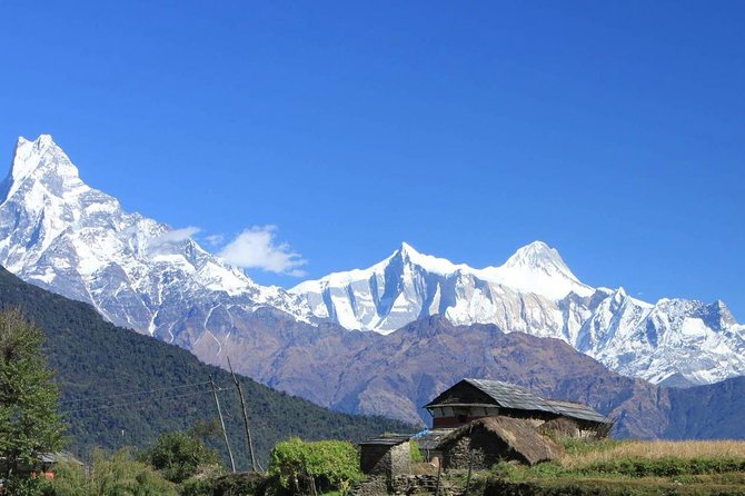 Annapurna Ghorepani Poon Hill trek from Pokhara short and easy hike in Himalaya - Day 7: Tadapani to Ghandruk