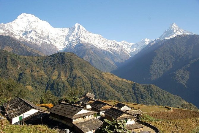 Annapurna Ghorepani Poon Hill trek from Pokhara short and easy hike in Himalaya - Day 8: Ghandruk back to Pokhara