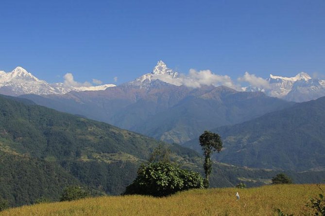 Annapurna Panorama trek - Key points to know before booking