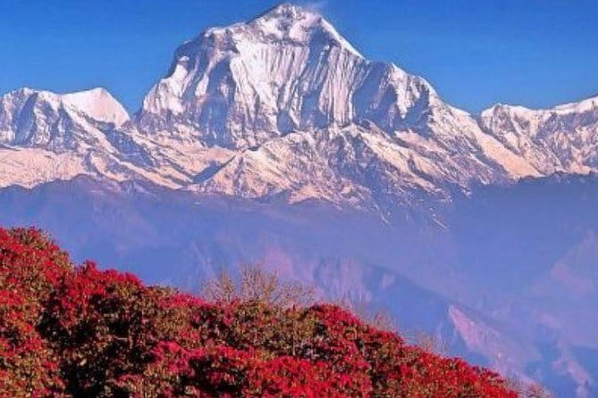 Annapurna Poon hill Sunrise Trek - Day 2: Kathmandu to Pokhara and Phewa Lake