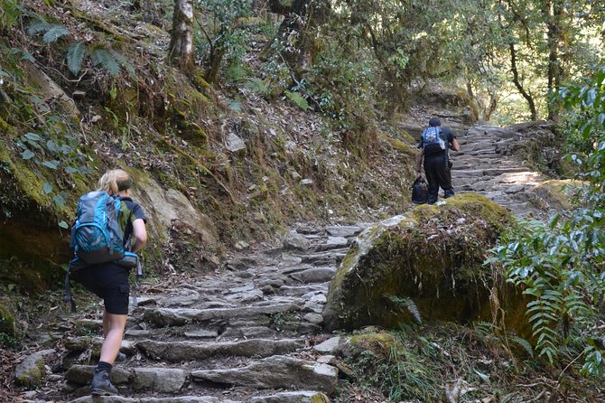 Annapurna Poonhill Trek - Tikhedhunga begins with river valleys and terraces