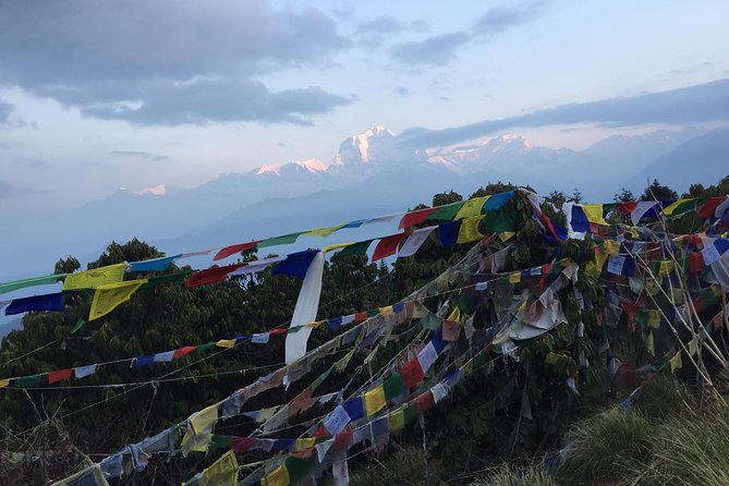 Annapurna Poonhill Trek - Tadapani to Ghandruk through forest